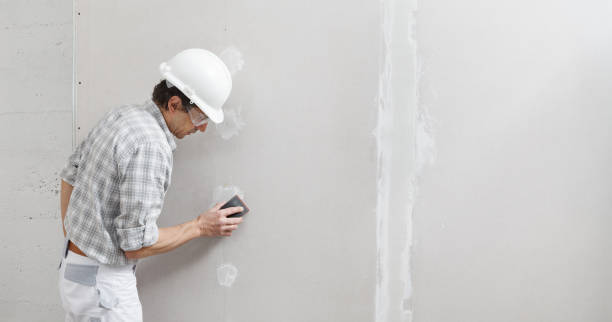 Best Drywall Texturing  in Santa Ynez, CA